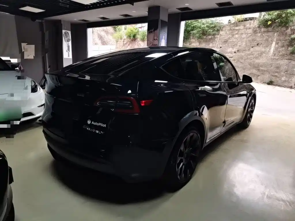 Tesla Model Y — миниатюра 7