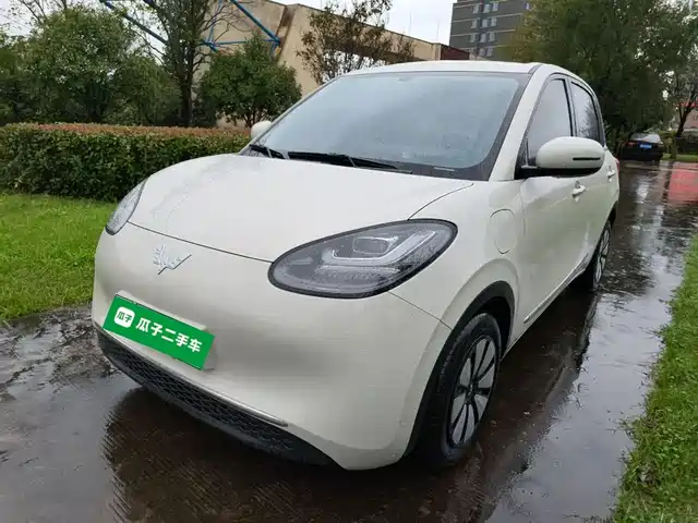 WULING AUTOMOBILE WULING BINGGUO 2025