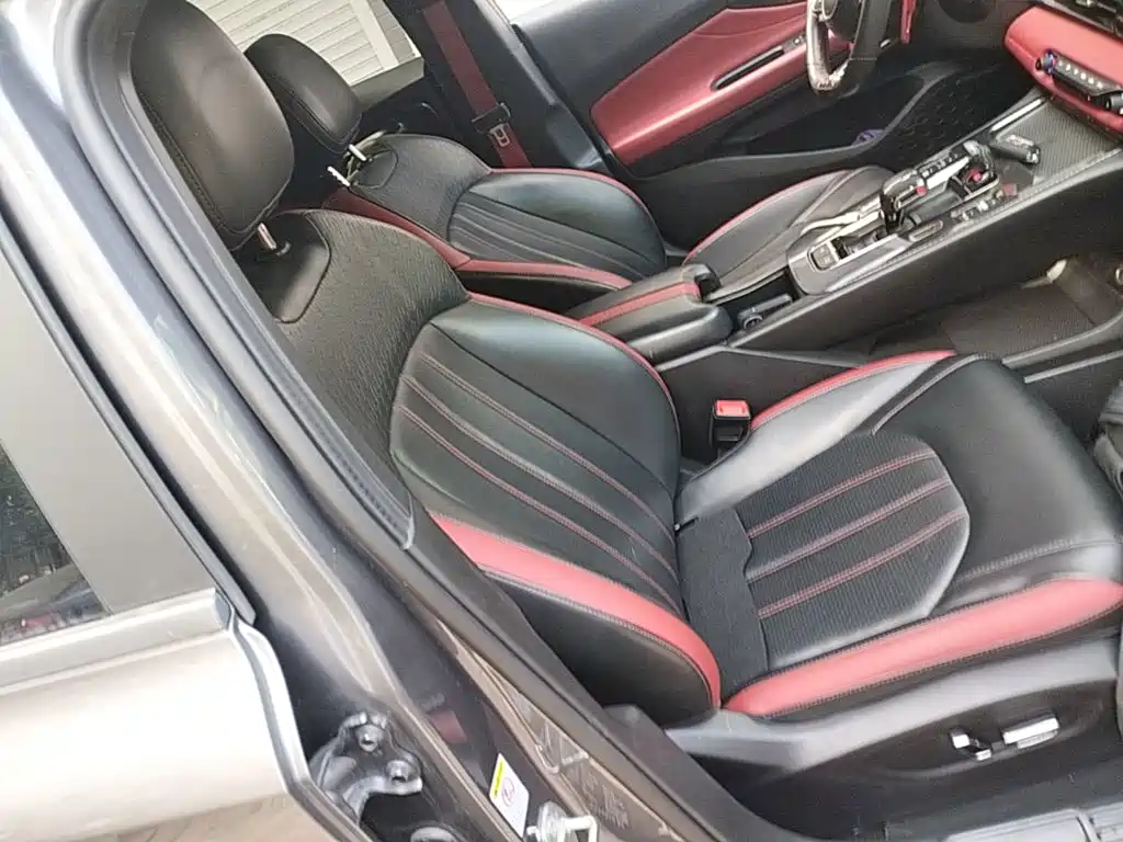 GAC Motor Shadow Leopard — миниатюра 25