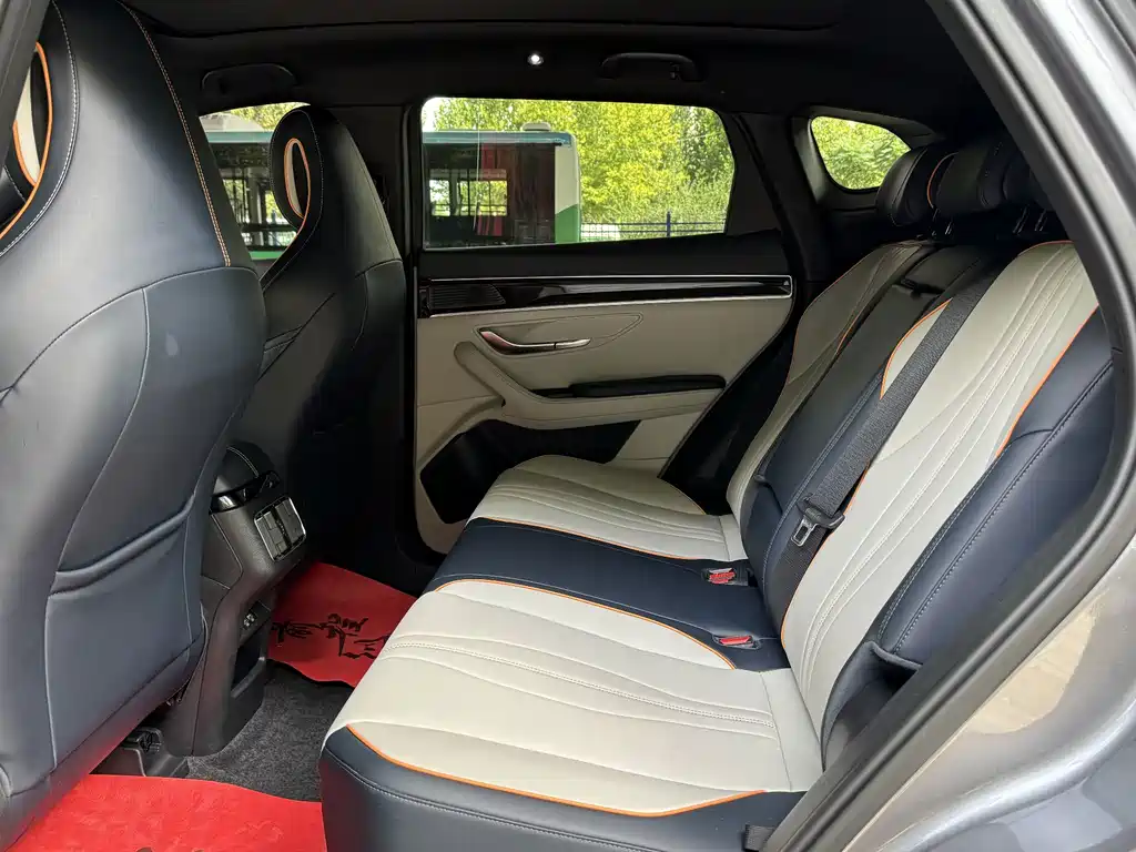 BYD PLUS New Energy — миниатюра 12