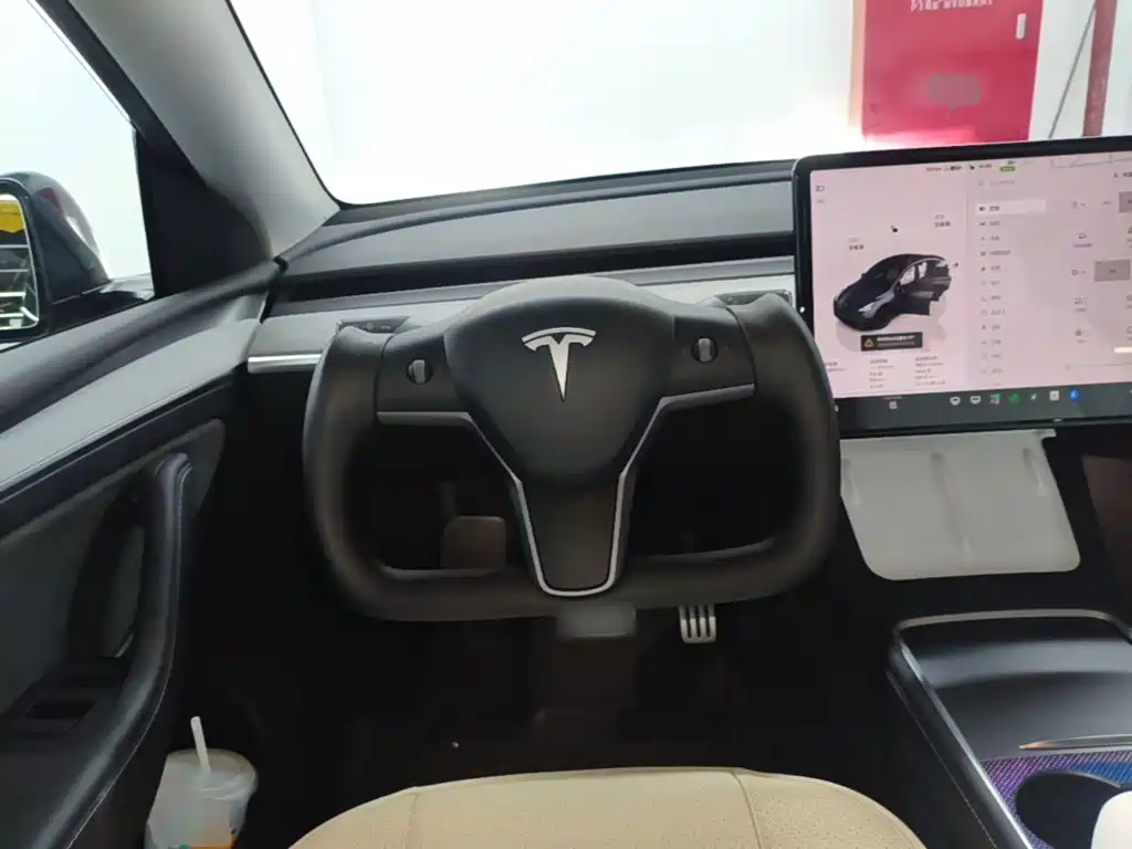 Tesla Model Y — миниатюра 11
