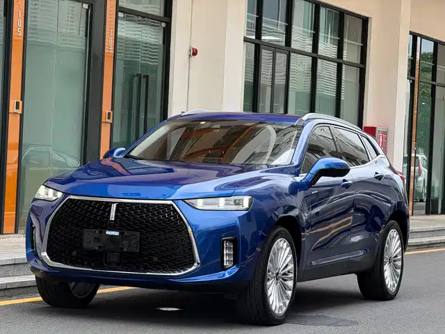 2018 Wey P8
