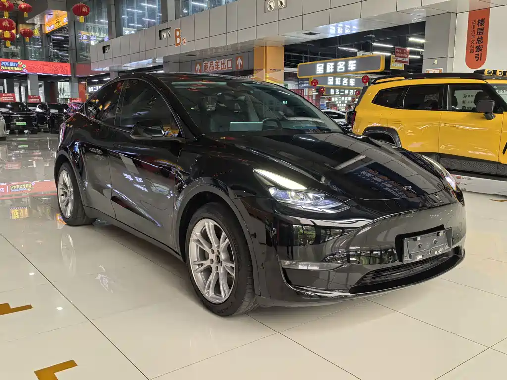 Tesla Model Y — миниатюра 3