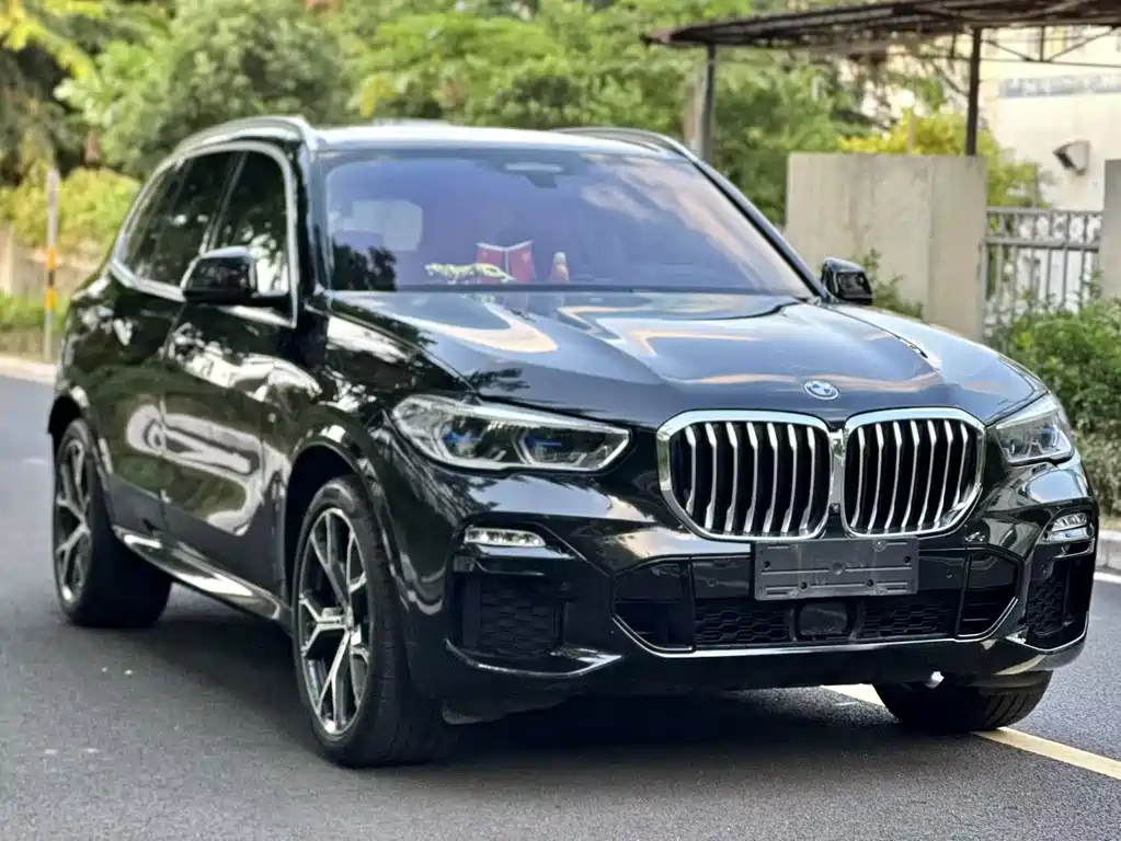 BMW X5 (Import) — миниатюра 2
