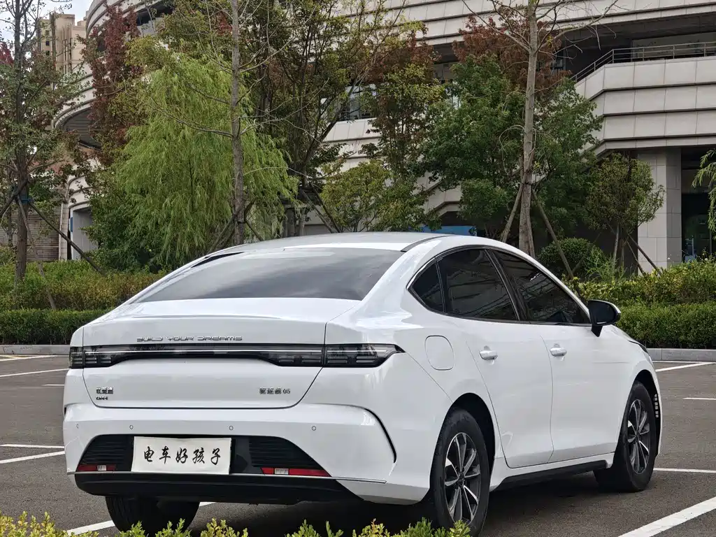 BYD Destroyer 05 — миниатюра 6