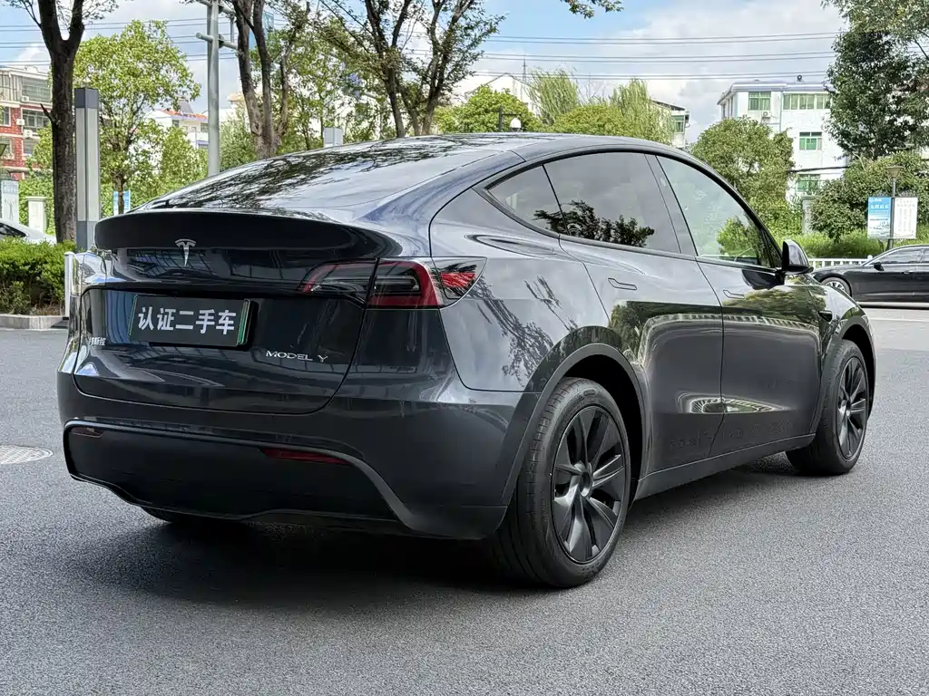 Tesla Model Y — миниатюра 7