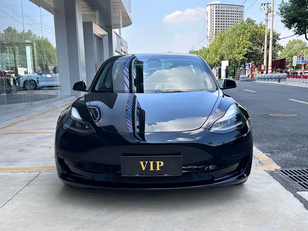 Tesla Model 3 — миниатюра 2
