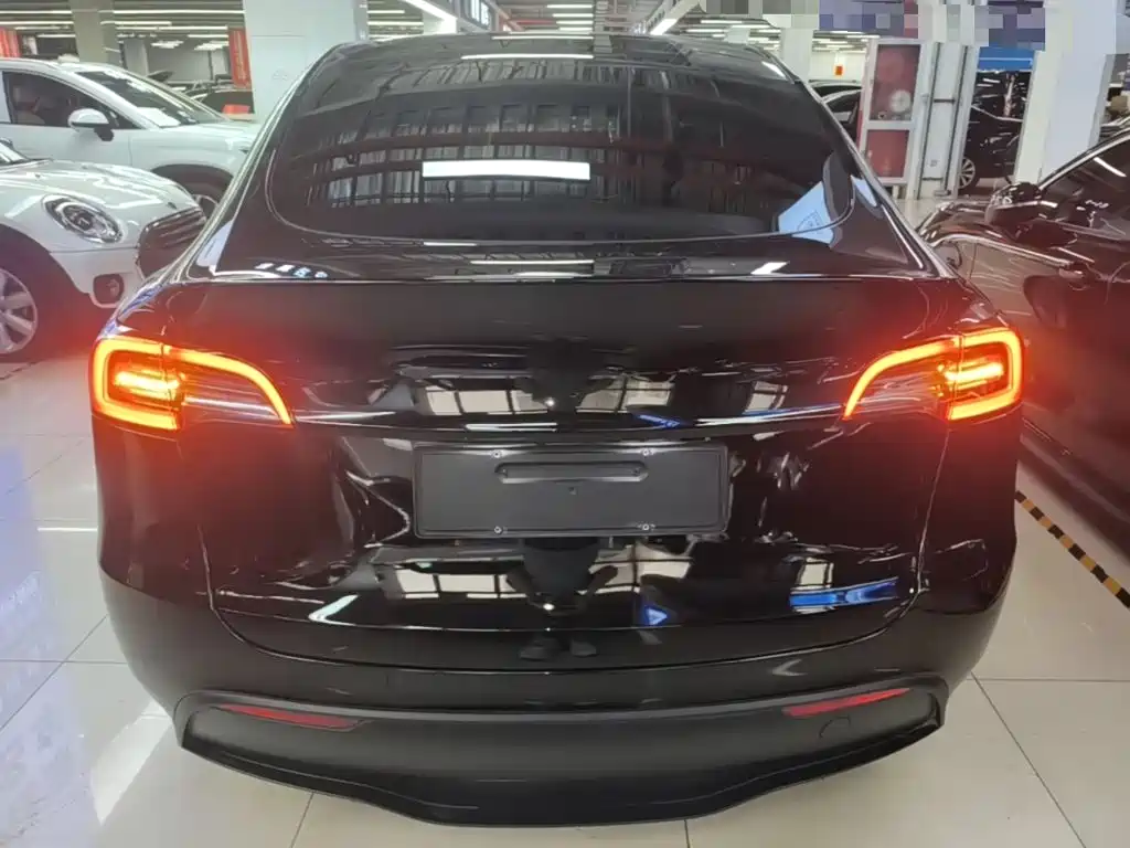 Tesla Model Y — миниатюра 6