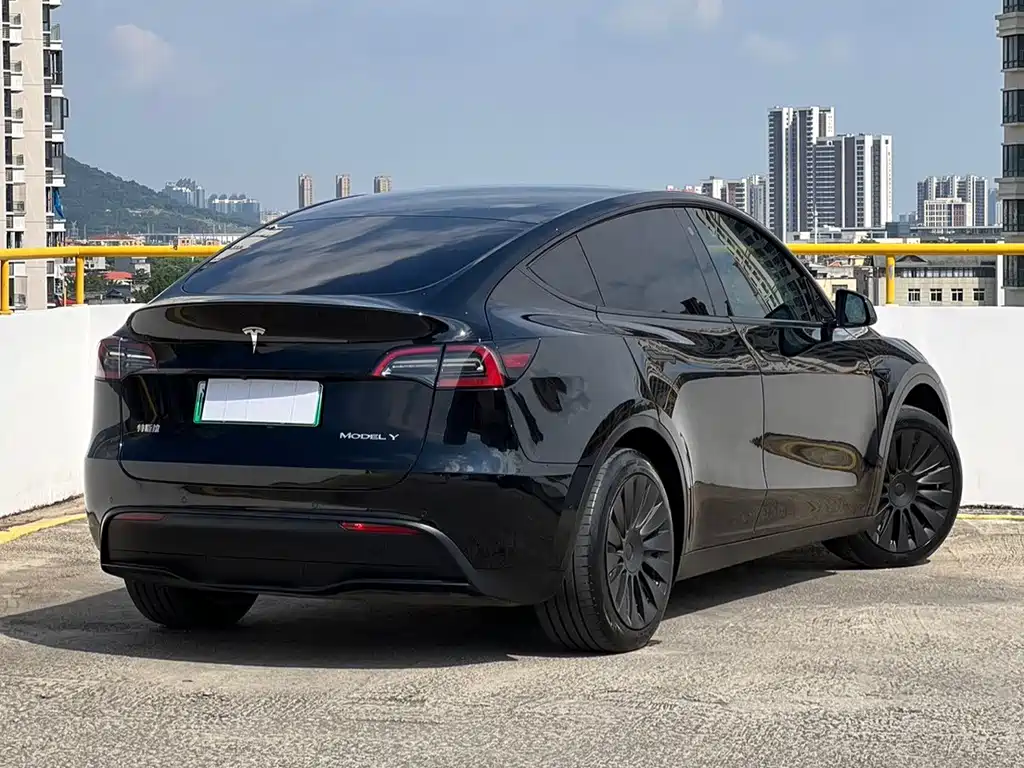 Tesla Model Y — миниатюра 14