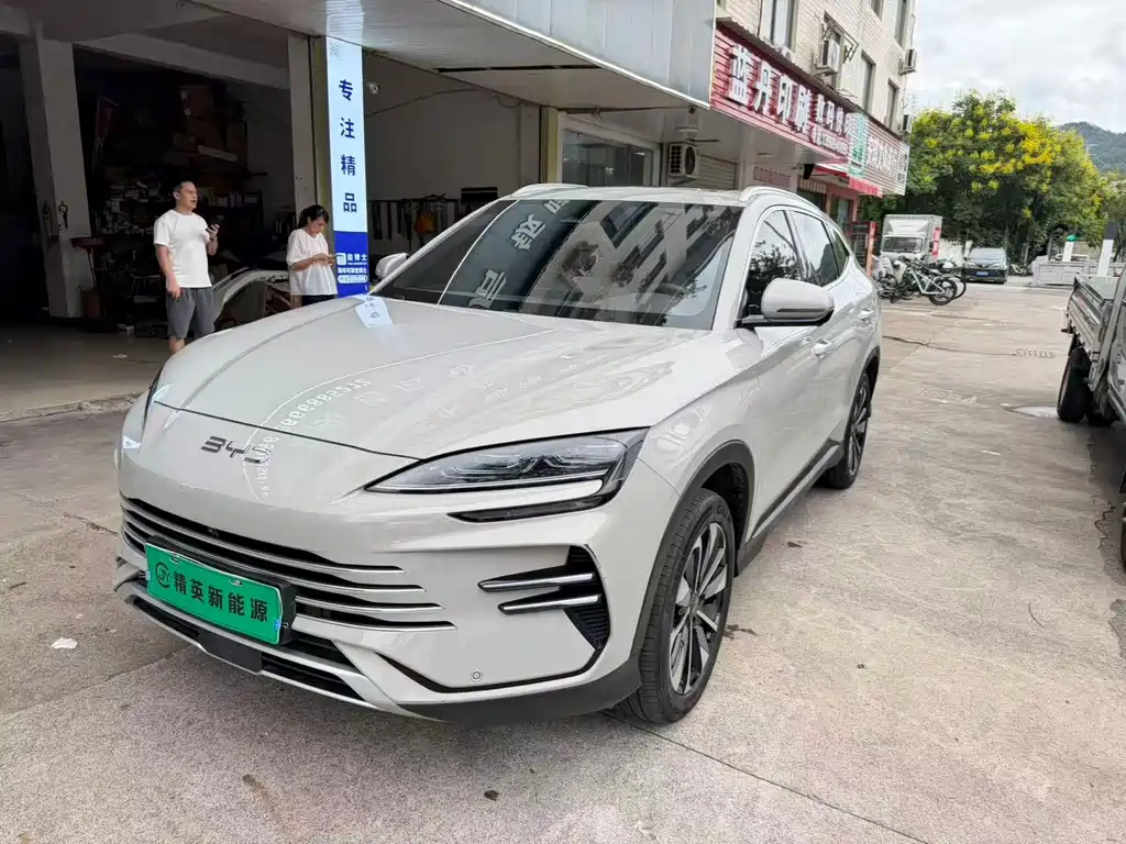 BYD PLUS New Energy