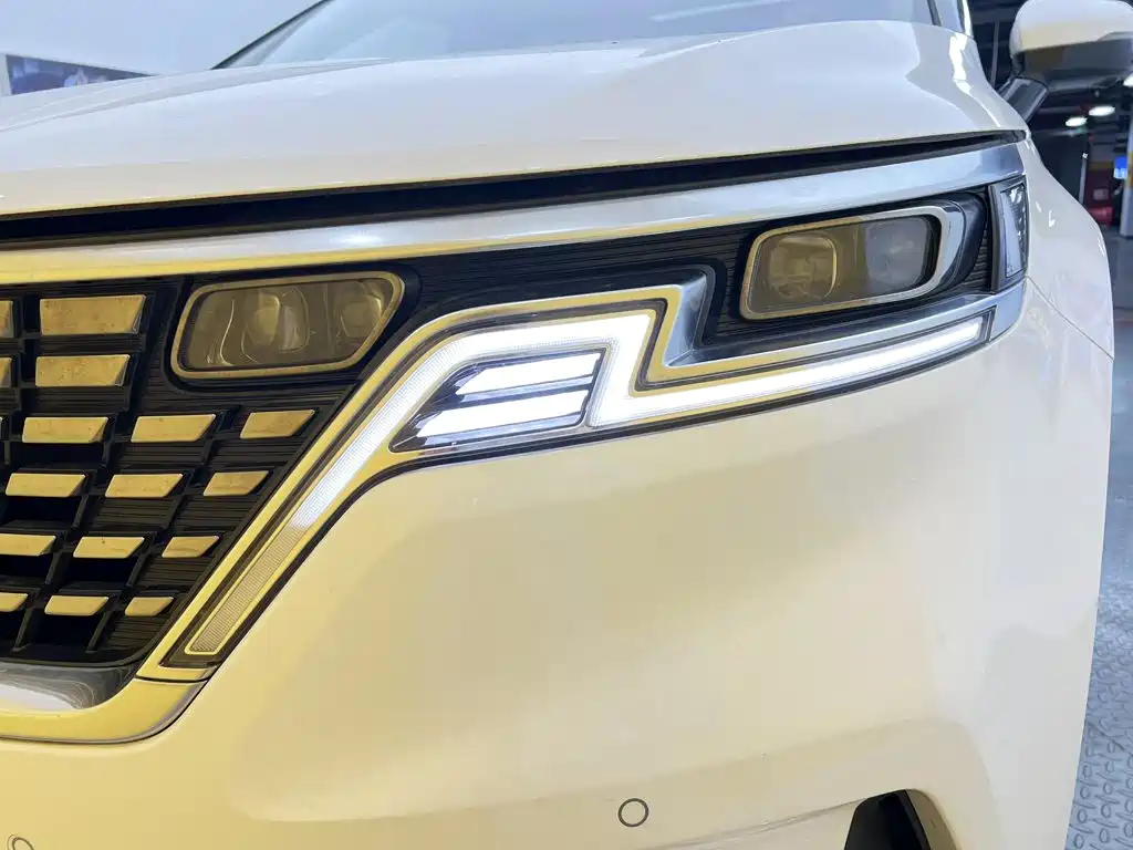 Kia Carnival — миниатюра 14