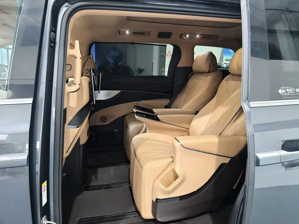 Denza Denza D9 — миниатюра 10