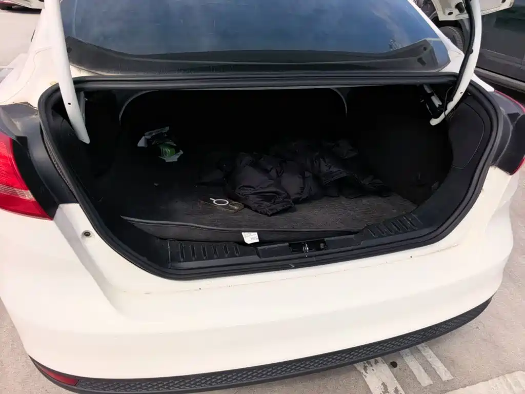 Ford Focus — миниатюра 19