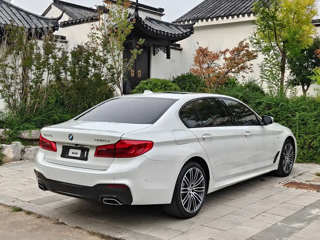 BMW 5 Series 5 2019 530Li Lead M Sport