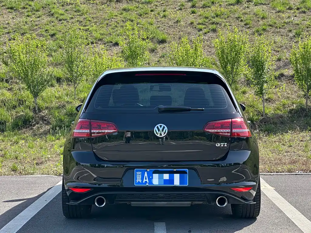 Volkswagen Golf GTI 2.0TSI GTI, фото 11