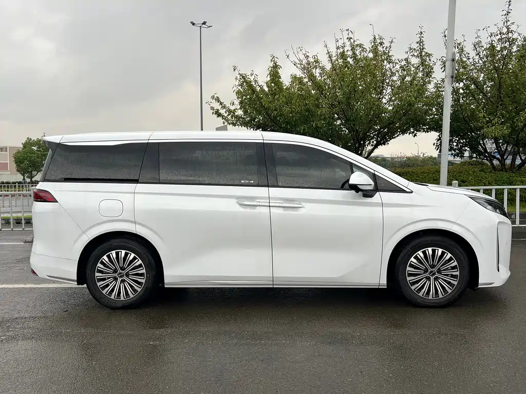 BYD M9 — миниатюра 18