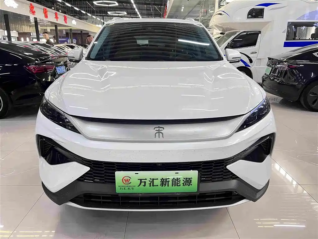 BYD Pro New Energy — миниатюра 2