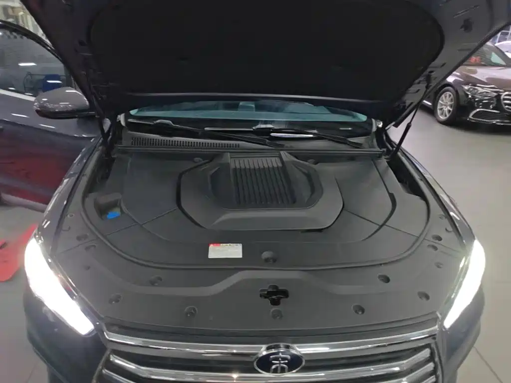 BYD Pro New Energy — миниатюра 20