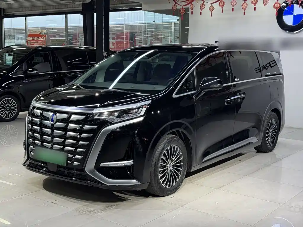 Denza Denza D9 — миниатюра 5