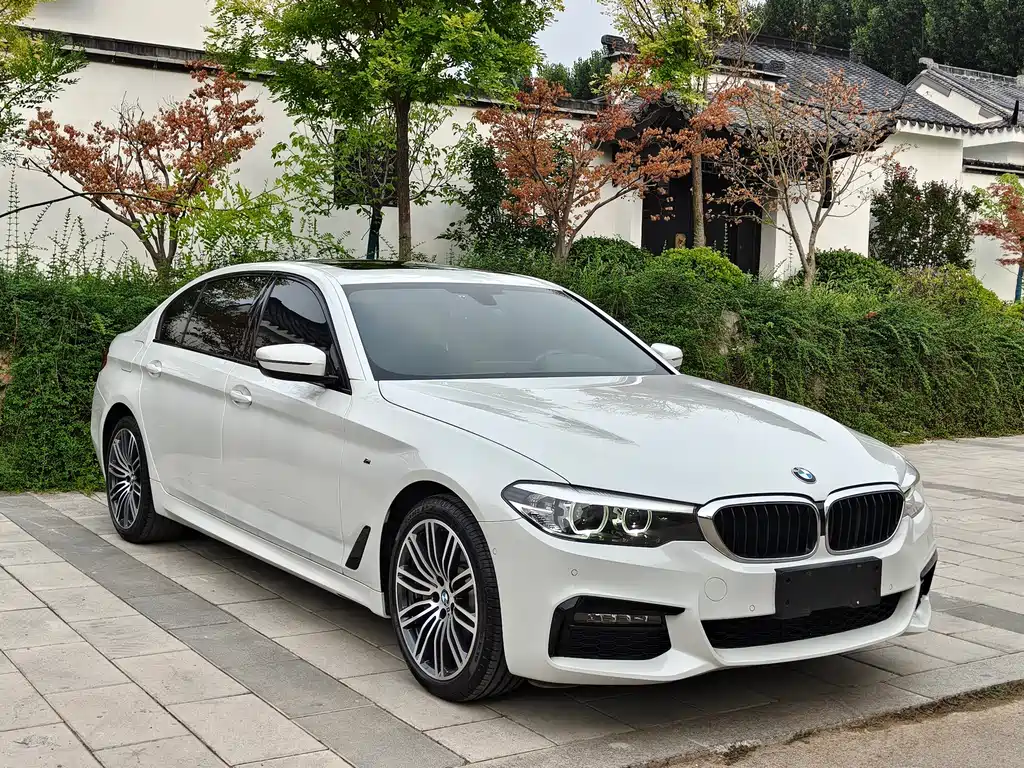 BMW 5 Series 5 2019 530Li Lead M Sport