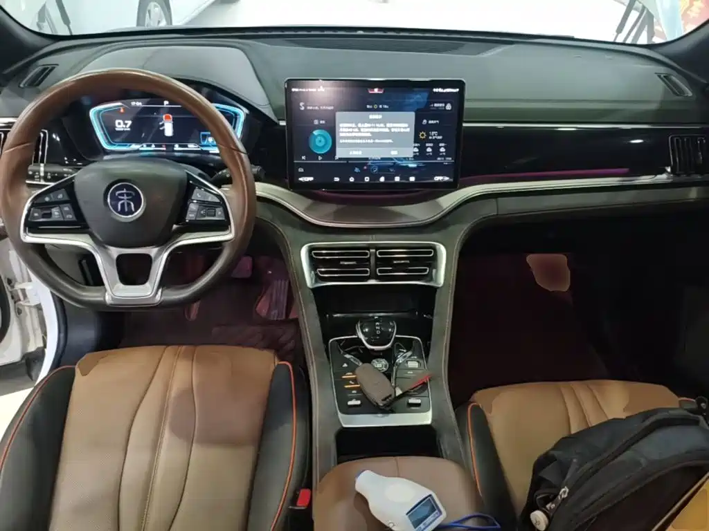 BYD PLUS — миниатюра 10