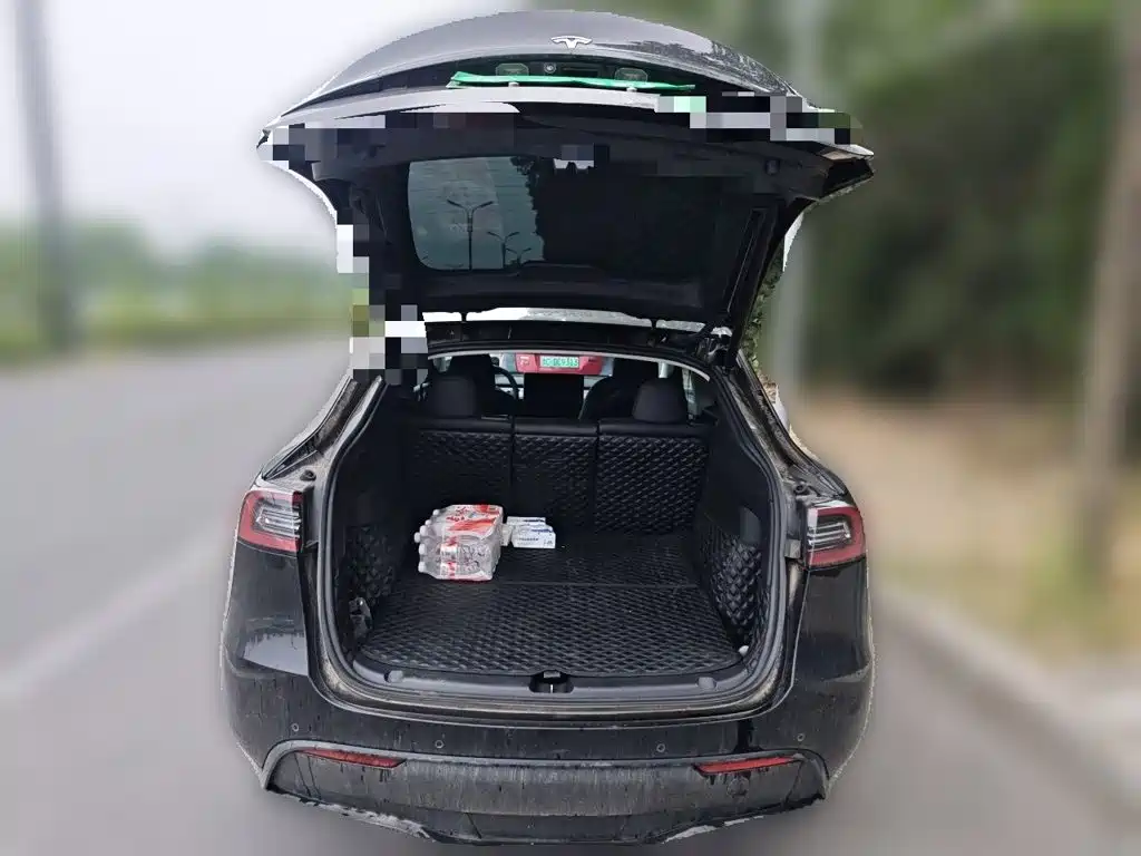 Tesla Model Y — миниатюра 20