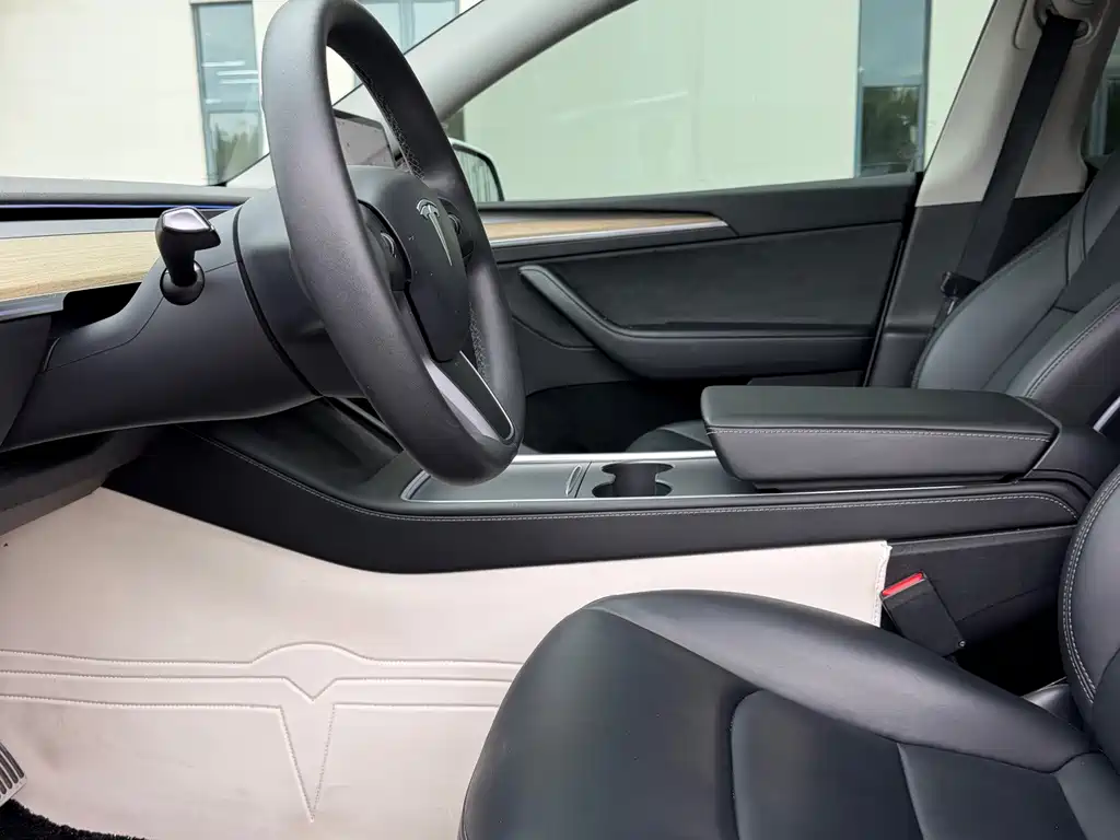 Tesla Model Y — миниатюра 7