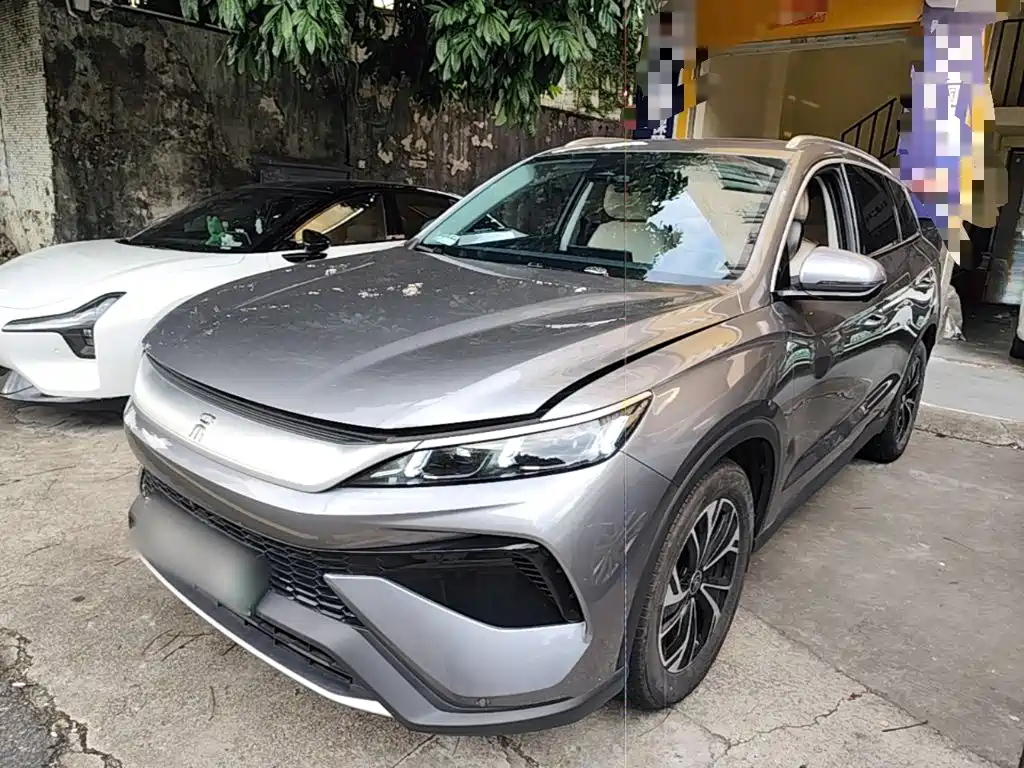 BYD Pro New Energy