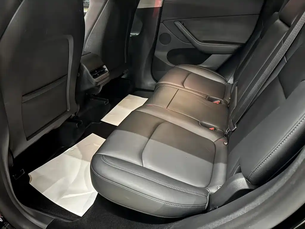 Tesla Model Y — миниатюра 6