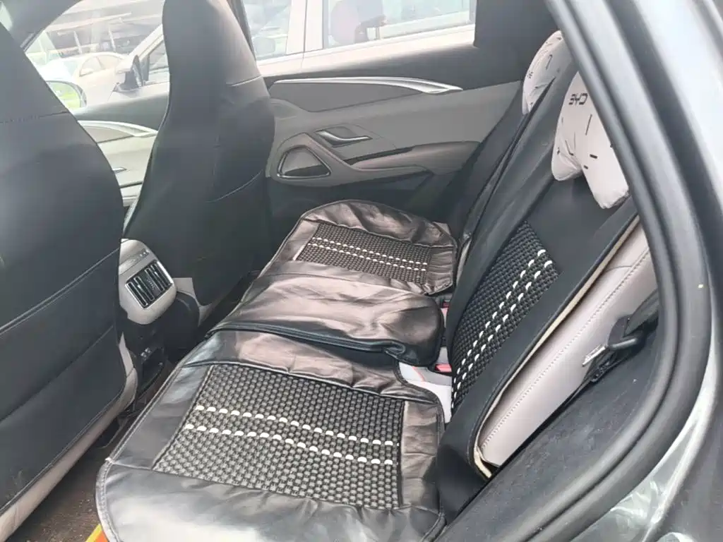 BYD Pro New Energy — миниатюра 22