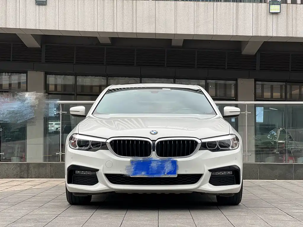 BMW 5 Series (Import) — миниатюра 2