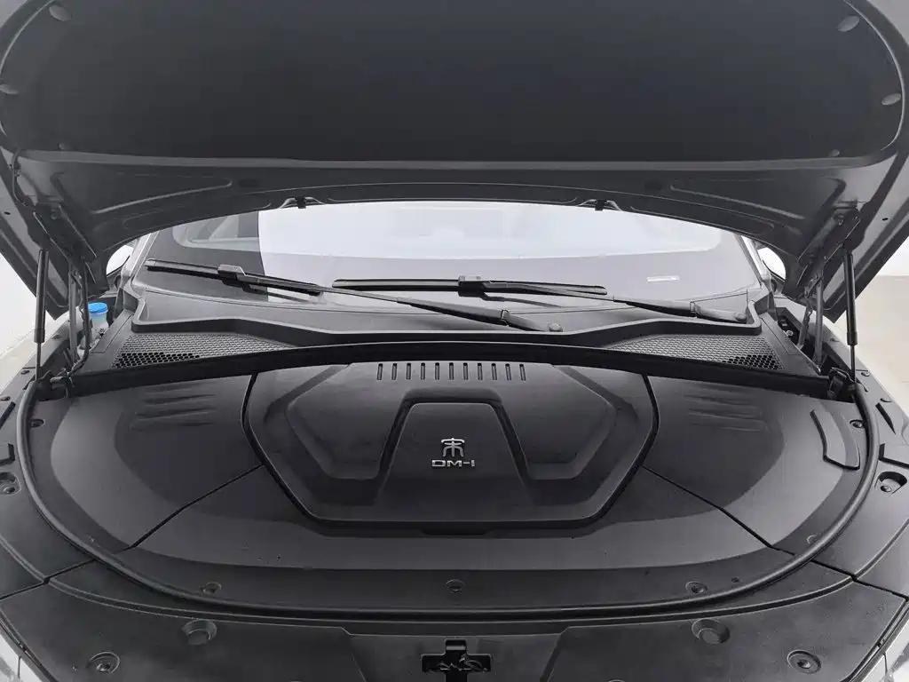 BYD PLUS New Energy — миниатюра 6