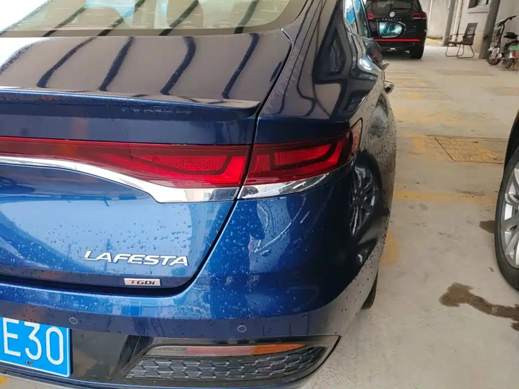 Hyundai Fista — миниатюра 8
