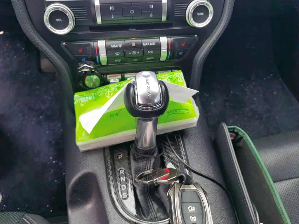 Ford Mustang — миниатюра 15