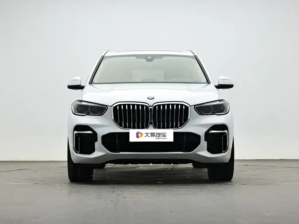BMW X5 — миниатюра 2