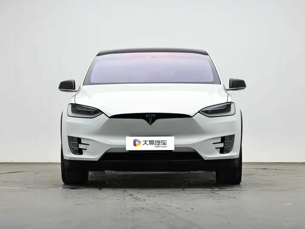 Tesla Model X — миниатюра 2