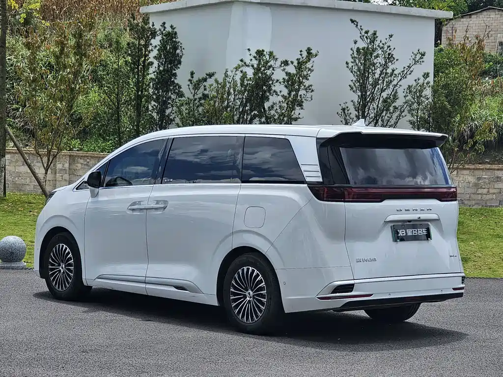 Denza Denza D9 — миниатюра 18