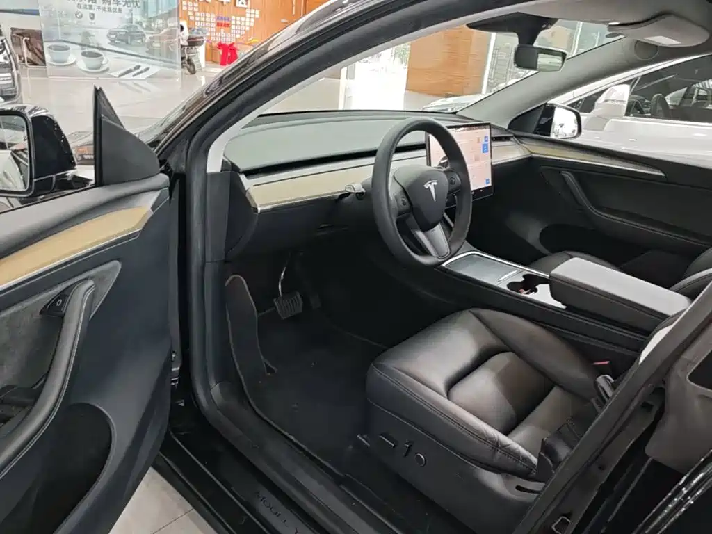 Tesla Model Y — миниатюра 16