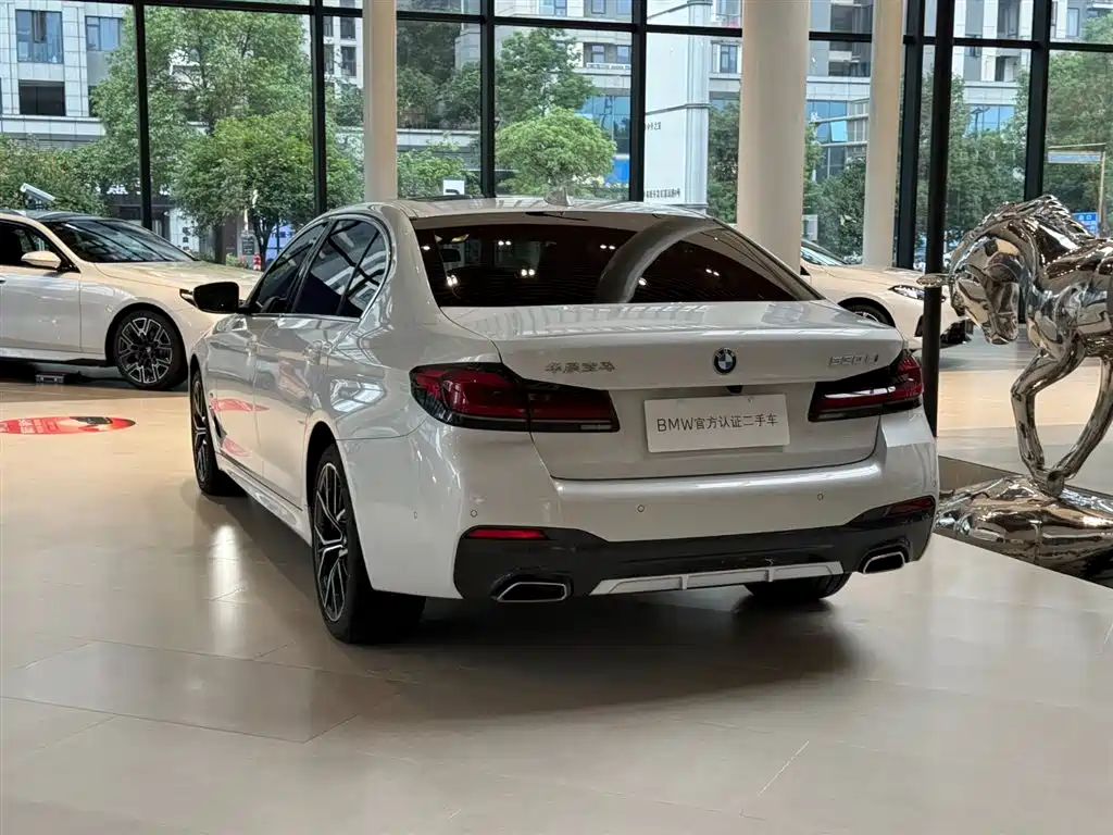 BMW 5 Series — миниатюра 3