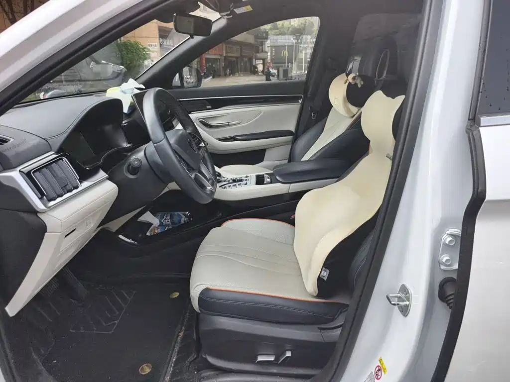 BYD PLUS New Energy — миниатюра 16