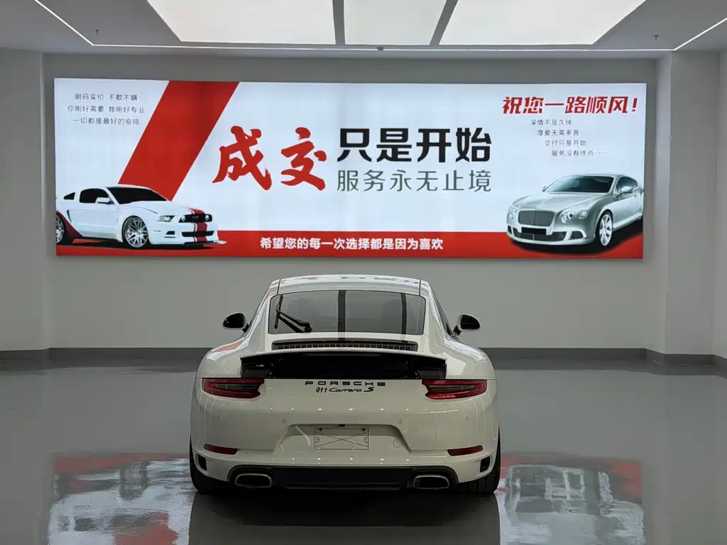 Porsche 911 — миниатюра 14