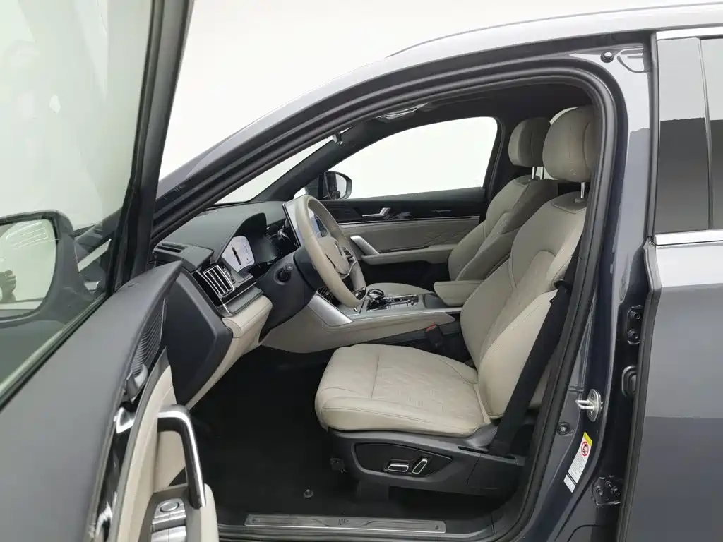 BYD Tang New Energy — миниатюра 10