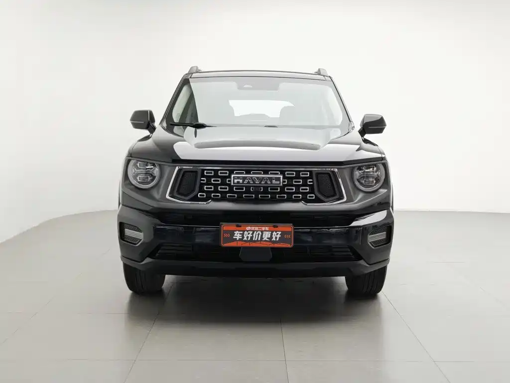 Haval Big Dog PLUS — миниатюра 3