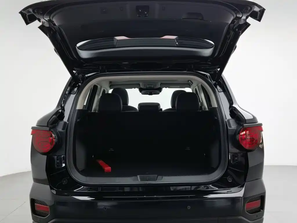 Haval Big Dog PLUS — миниатюра 16