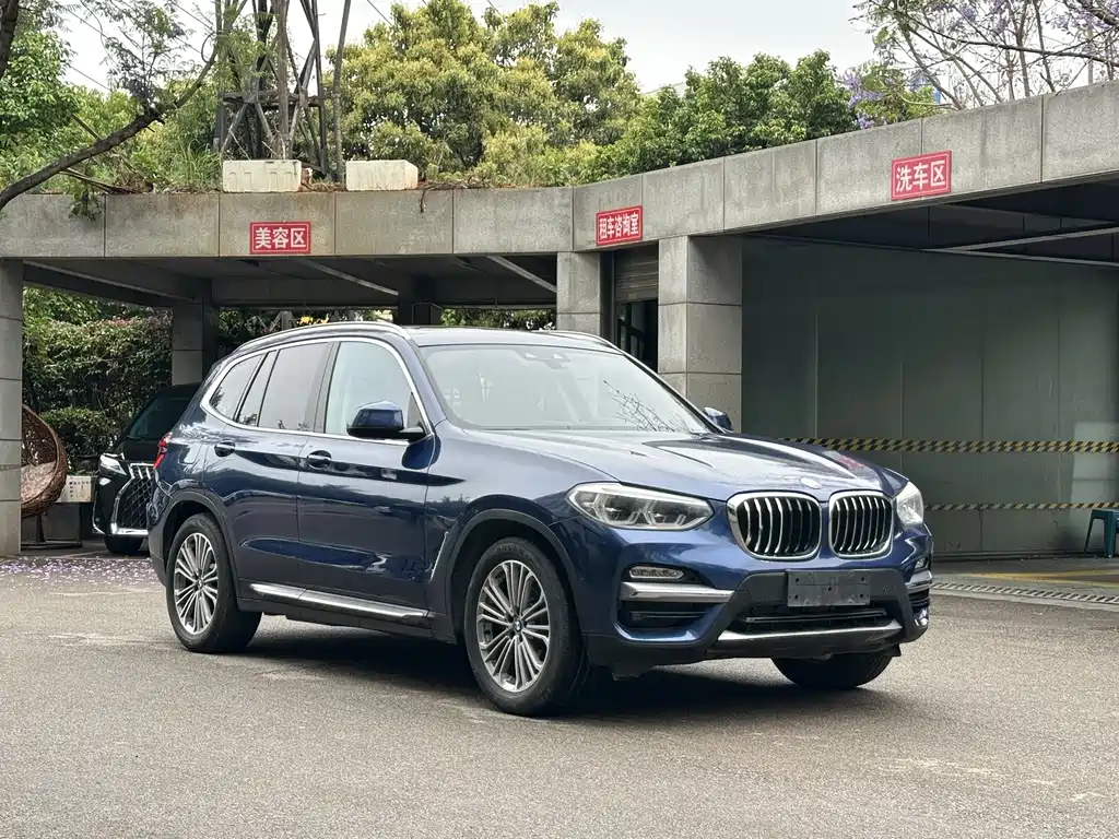 BMW X3 2018 xDrive28i Luxury VI