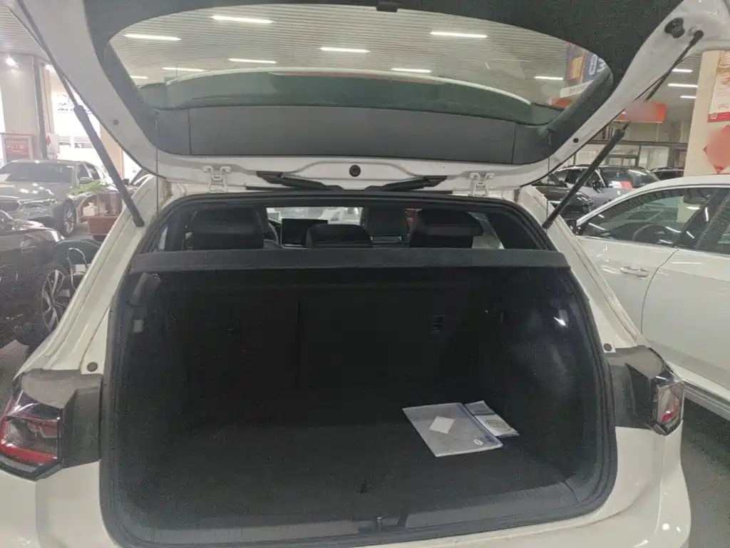 Volkswagen Golf — миниатюра 19
