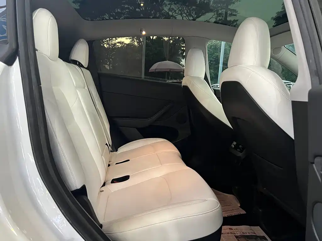 Tesla Model Y — миниатюра 9
