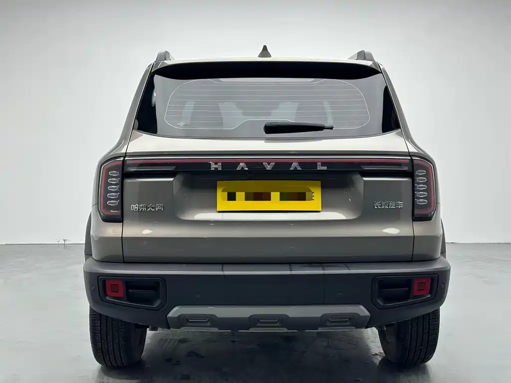 HAVAL BIG DOG