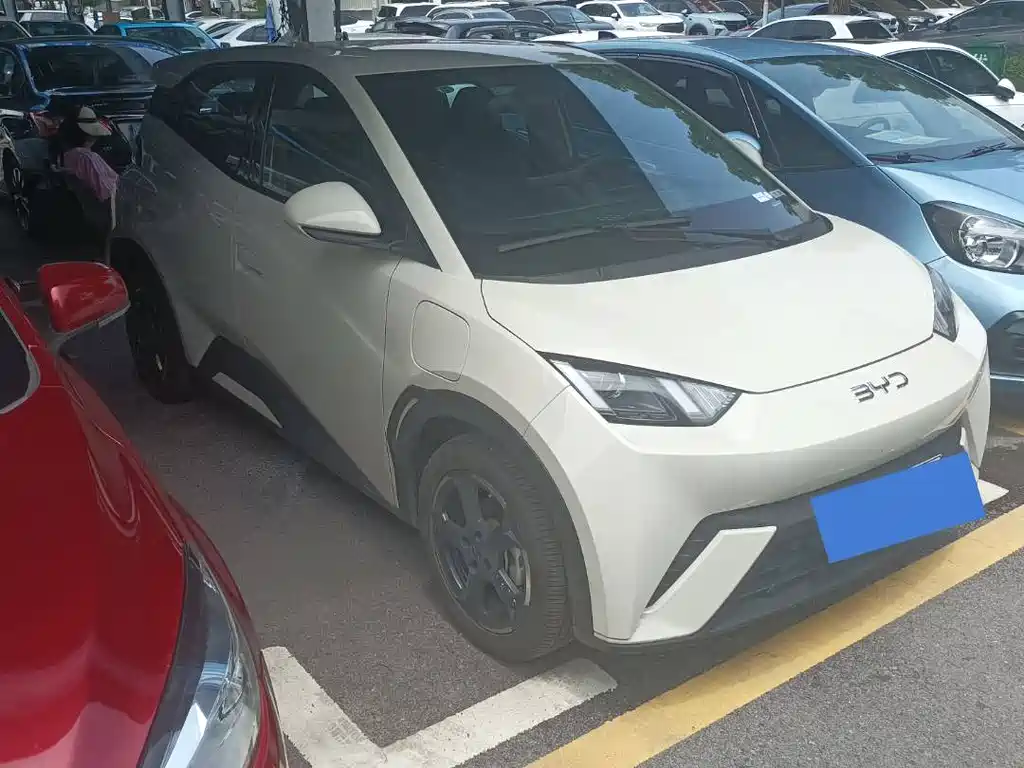 BYD Seagull 2024 305km Freedom