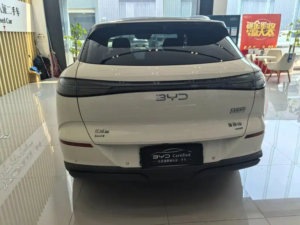 BYD Sealion 06 — миниатюра 5